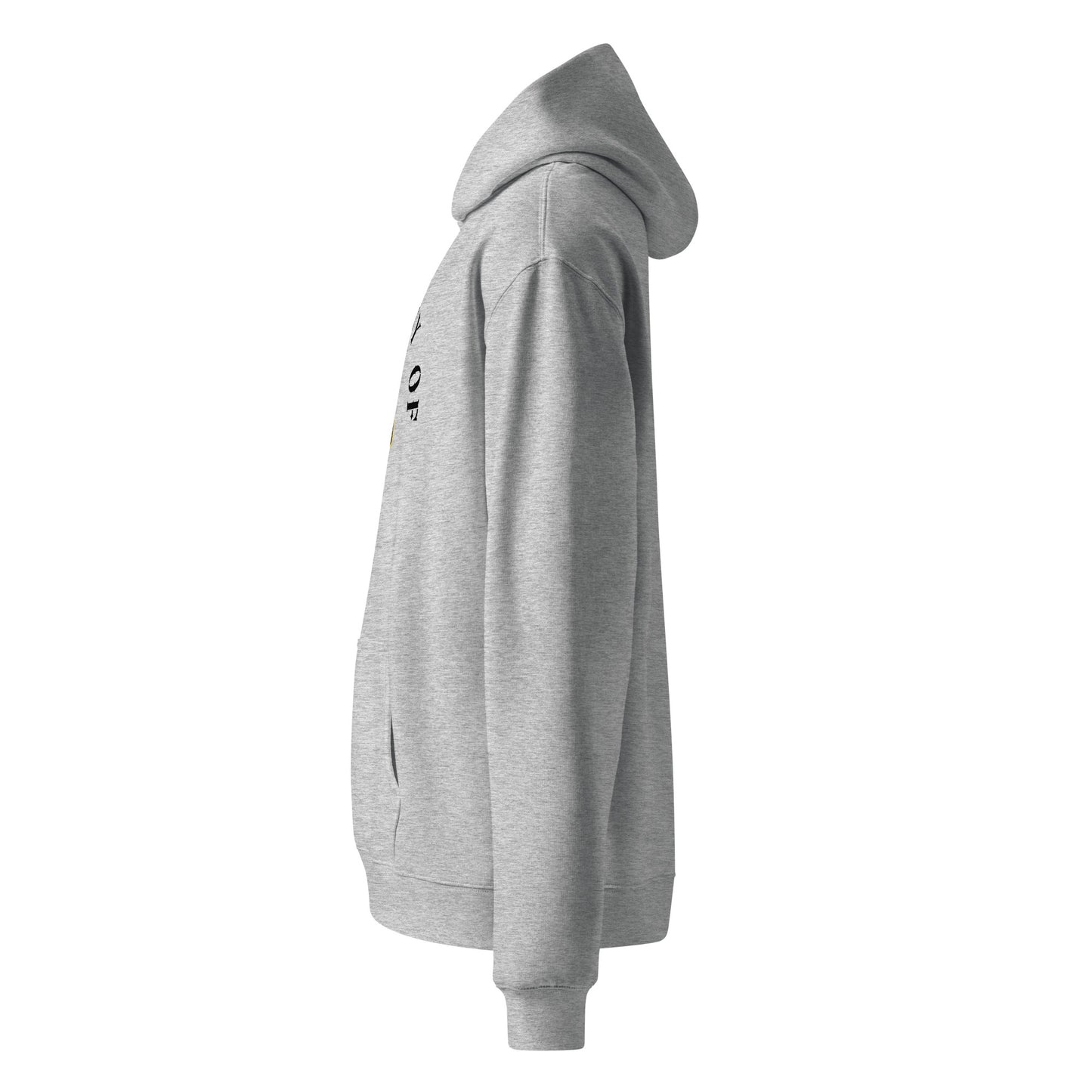 Property of 254 Unisex oversized hoodie