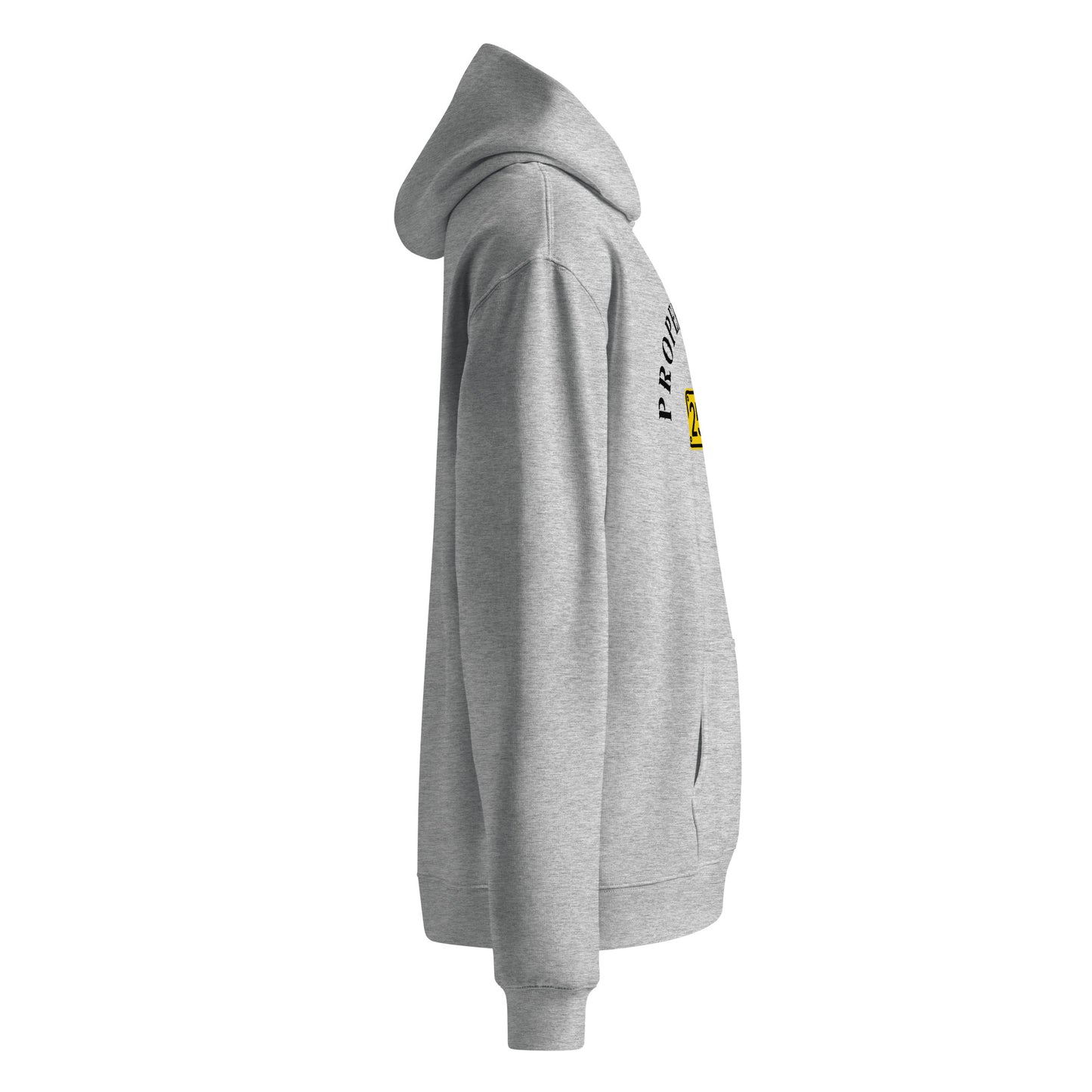 Property of 254 Unisex oversized hoodie