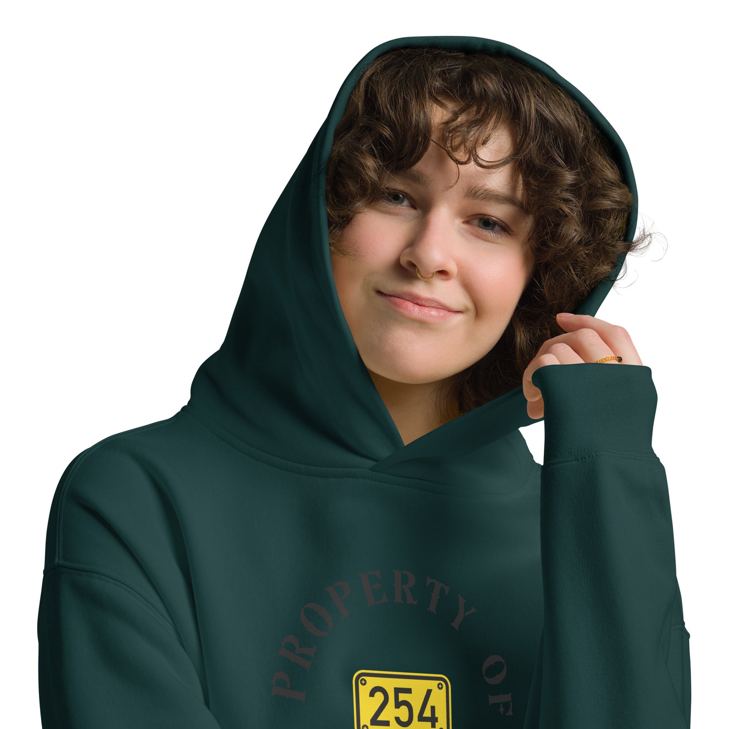 Property of 254 Unisex oversized hoodie