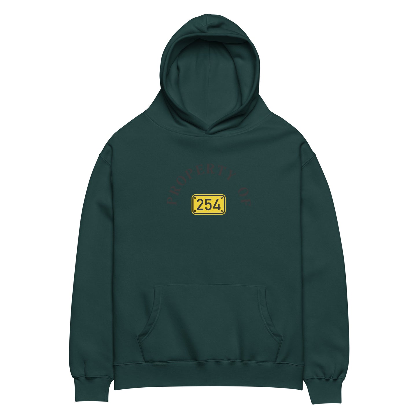 Property of 254 Unisex oversized hoodie